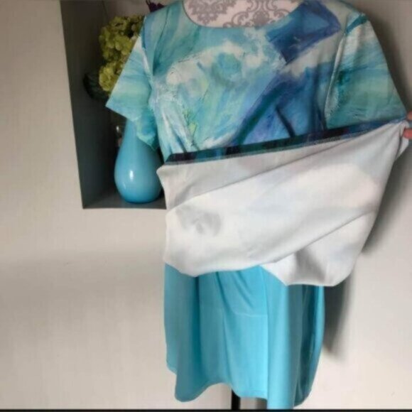 Smashed Lemon Mini Shirt Dress New Sz XL/1X - Picture 9 of 9